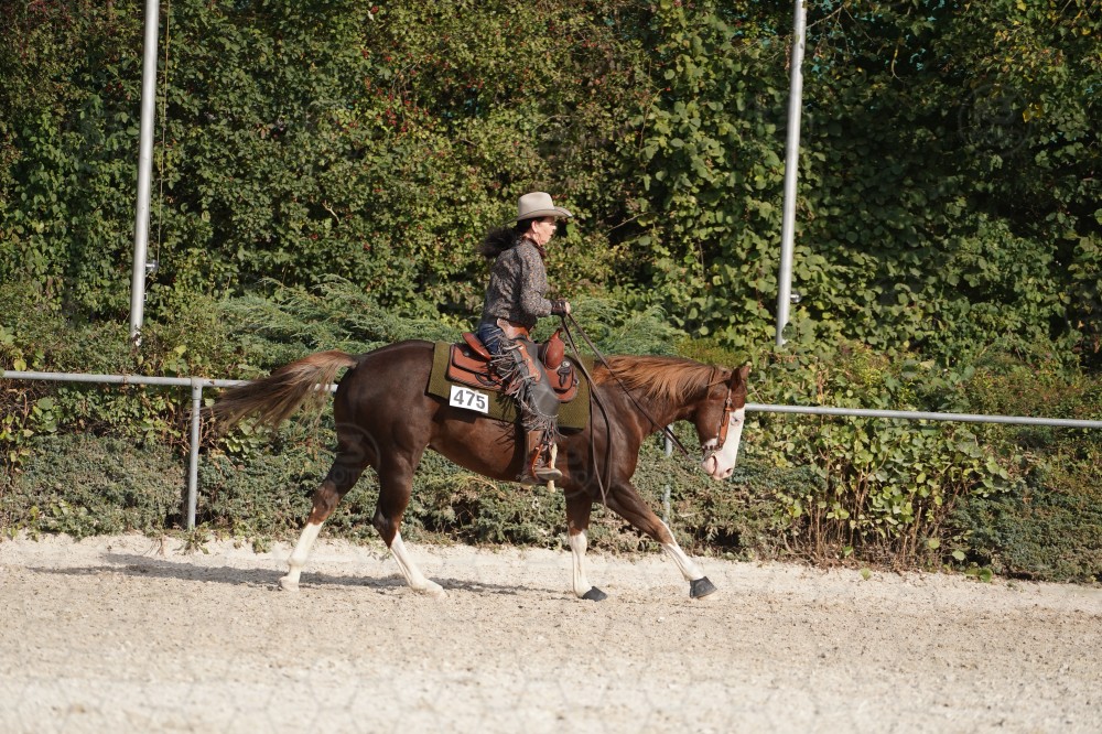 s_A_908406.JPG